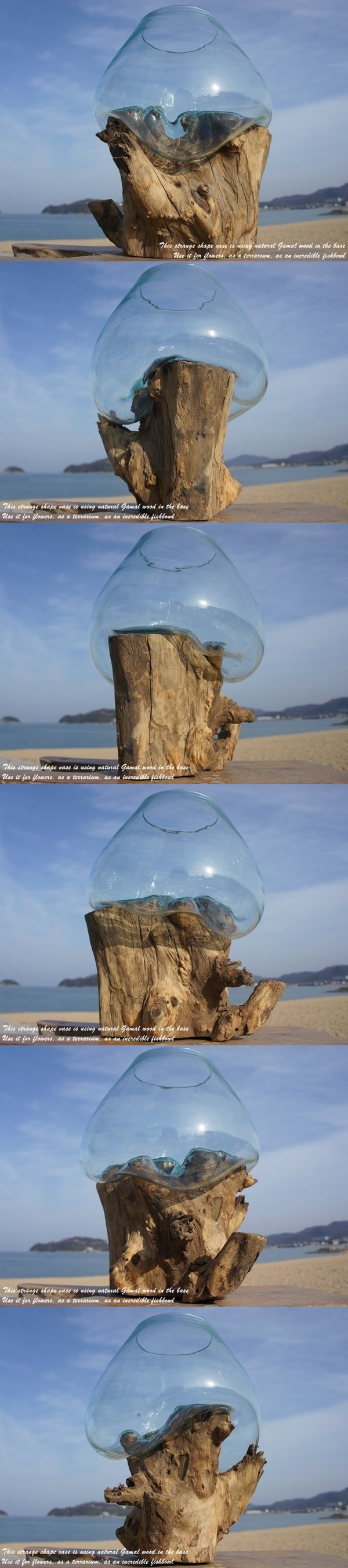 バリ島ガラス 流木 アート作品 芸術品 オブジェ