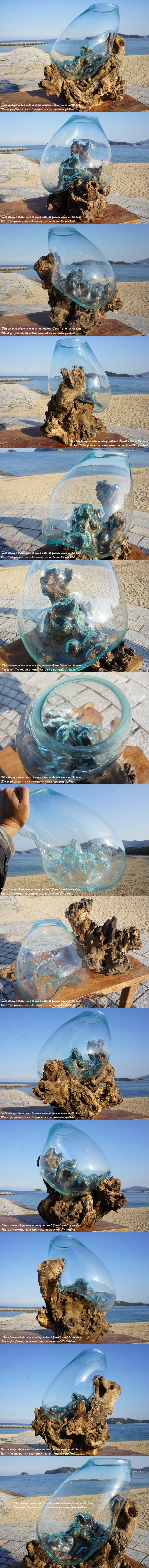 高品質流木ガラス オブジェLak バリ島 メダカ 金魚鉢 花瓶 アクアリウム テラリウム 吹きガラス 天然木土台 アジアン雑貨 アート バリ雑貨 展示品 オブジェ